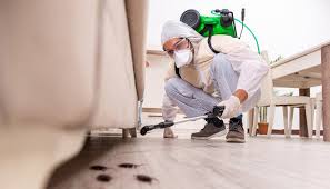 Best Residential Pest Control  in Lakeville, MN